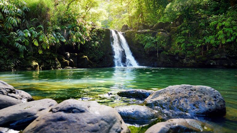 Best Stops Along the Road to Hāna