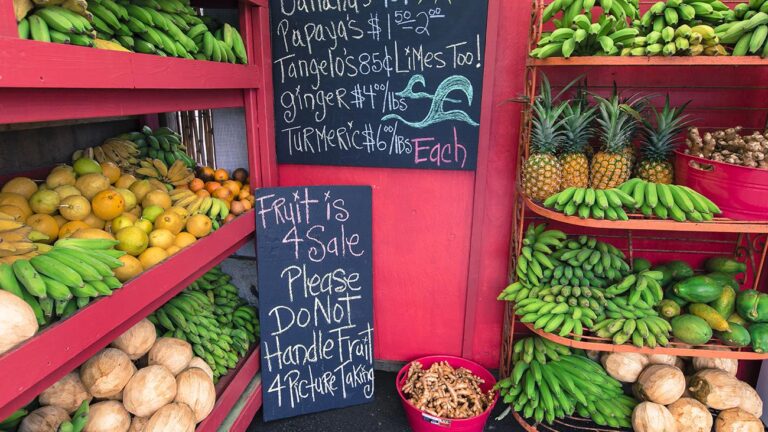 Healthy & Nutritious