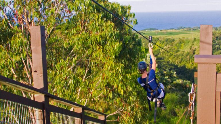 Zip Line Adventure